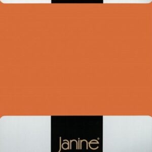 Janine Janine Spannbetttuch Elastic-Jersey 5002 rost-orange Größe:  200x200 cm