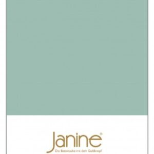 Janine Janine Spannbetttuch Mako-Feinjersey 5007 rauchgrün Größe:  200x200 cm