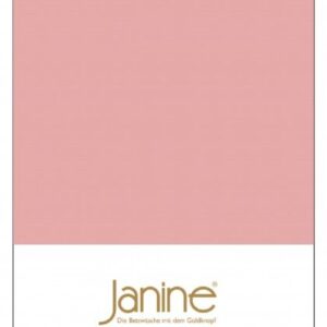 Janine Janine Spannbetttuch Mako-Feinjersey 5007 zartmauve Größe:  200x200 cm